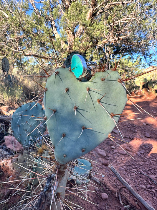 Flagstaff Ponderosa Pine Love