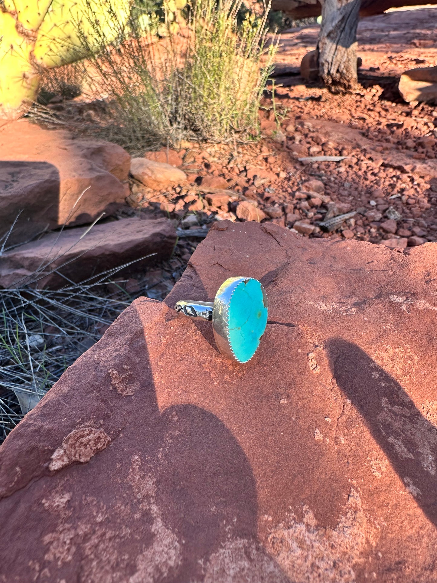 Flagstaff Ponderosa Pine Love