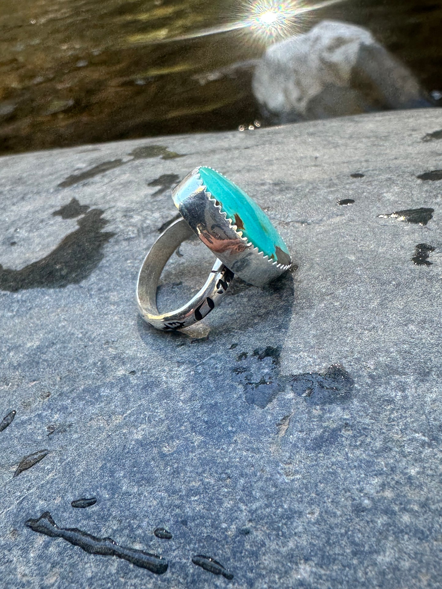 Flagstaff Ponderosa Pine Love