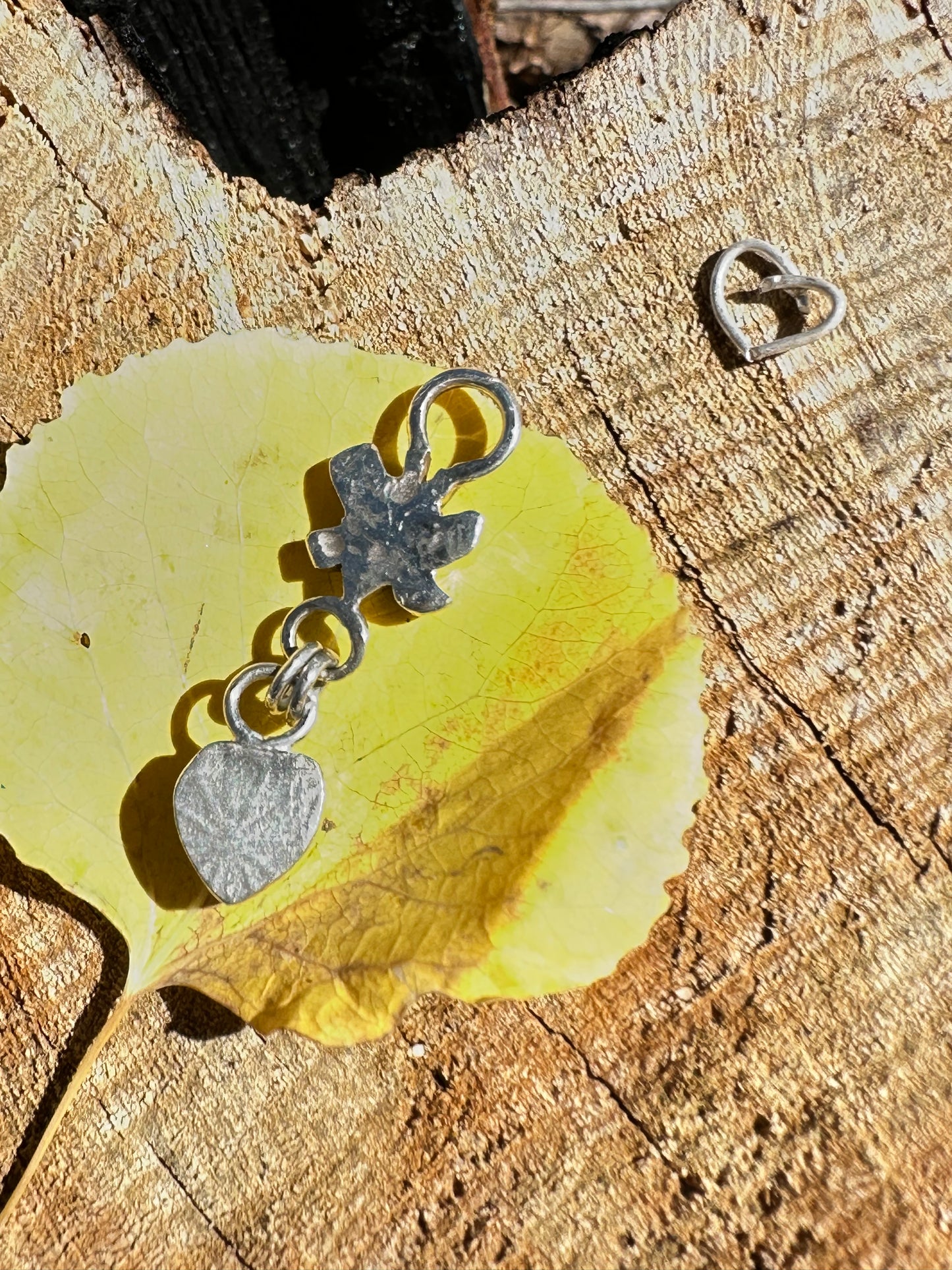 Butterfly Heart